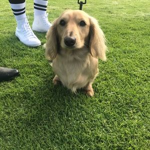 Meet your Posher, Megan